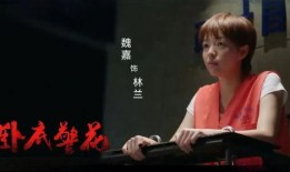 魏嘉爆料视频在线观看,揭秘幕后真相，带你走进事件核心